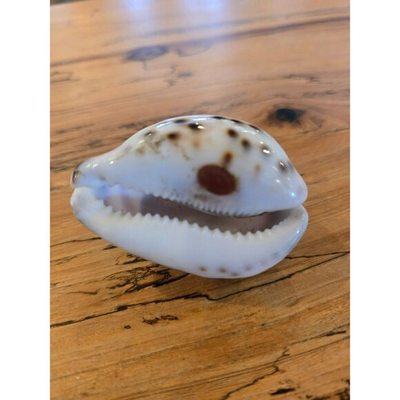 VTG Hand Carved Shell Hula Dancers Palm Tree Made in Taiwan Republic of China - Picture 4 of 9